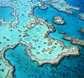 Scuba dive Great Barrier Reef