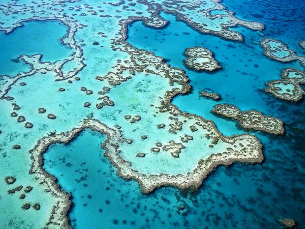Scuba dive Great Barrier Reef
