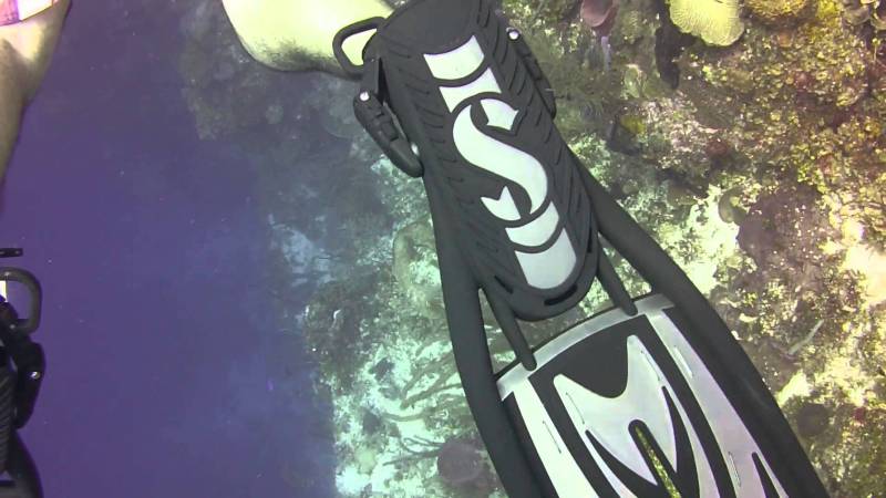 Diver using grey Scuba Pro Twin Jet Max fins